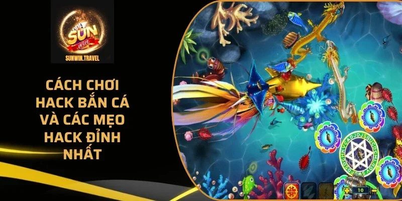 cach-choi-hack-ban-ca